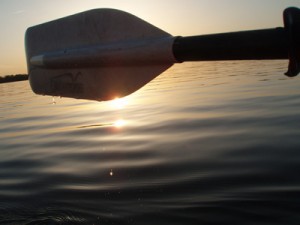 paddle-web-2010